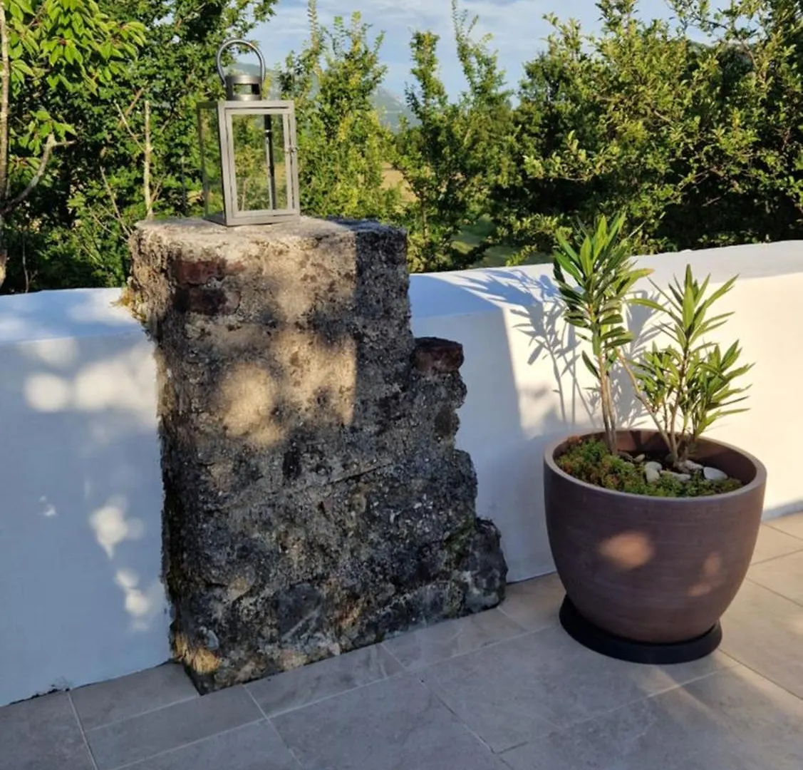 Holiday home Lukari Vacation Home Drivenik